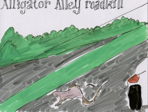 alligator alley roadkill
